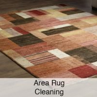 area rug cleaning